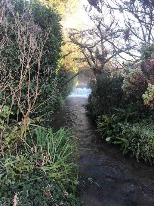 Eco-Friendly Dorset Cottage With Spa Set In Heart Of Countryside Sydling St Nicholas Luaran gambar